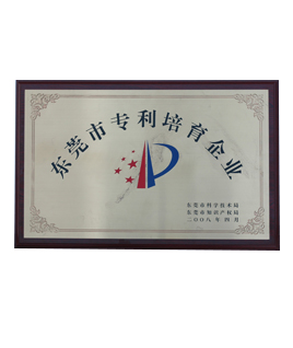 Dongguan patent cultivation enterprise